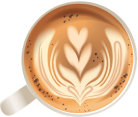 Latte Tulip 2